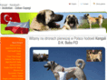 kangal.com.pl