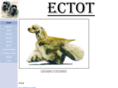 ectot.com