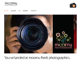 moomuphotos.com