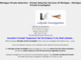 privatedetectivemi.com