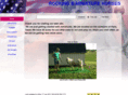 rockingbminiaturehorses.com