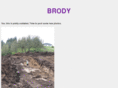 brodysparks.com