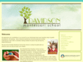 davidsonmontessori.org