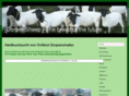 dorper-sheep.net