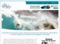 freesurfpix.com