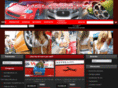 helenautotuning.com