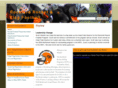 rockfordrocketfootball.com