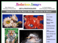 bodaciousimages.com