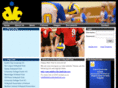 dublinvolleyballclub.net