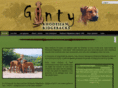 gintyridgebacks.com