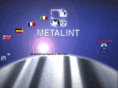 metalint.com