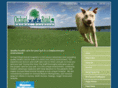 orchardroadanimalhospital.com