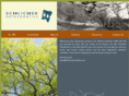 pleasantonortho.com