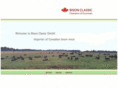 bison-classic.com