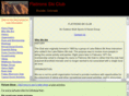 flatironsskiclub.com