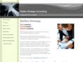 bizdevstrategy.com