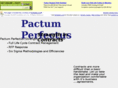 pactumperfectus.com