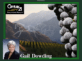 sagewinds.com