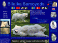 bilaika.dk