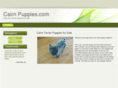cairnpuppies.com