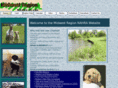 czkennels.com