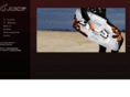 juicekiteboarding.com