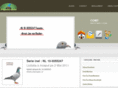 pigeon-sale.net
