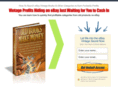 vintageebay.com