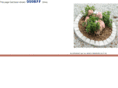 waede.com