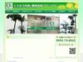 hirooka-clinic.com