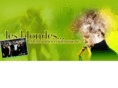 lesblondesetlesbrunes.com