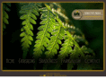 littlerivertreefarms.com