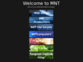 mntcomputers.com