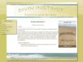 divin-instinct.com