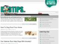 dogtips.co