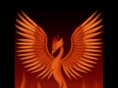 ashbird.com