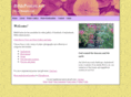 bibleposters.net