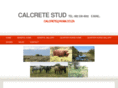calcretestud.com