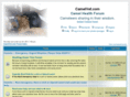 camelvets.com