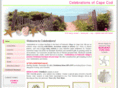 celebrationsofcapecod.com