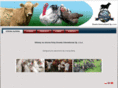 doseta.com