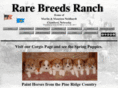 rarebreedsranch.net