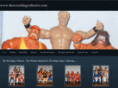 thewrestlingcollector.com