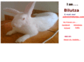 bilutza.com