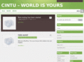 cintu.com