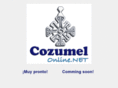 cozumelonline.net