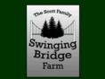scottswingingbridge.com