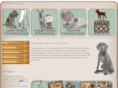 barkingdogagency.com