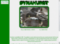 dynahurst.com