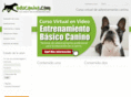 educanino.com